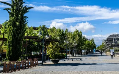 Blog 2 Consejos para turistas que buscan una opción de movilidad