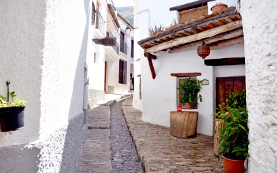 Blog 3 Pide Taxi Granada: cómo solicitar tu servicio en segundos