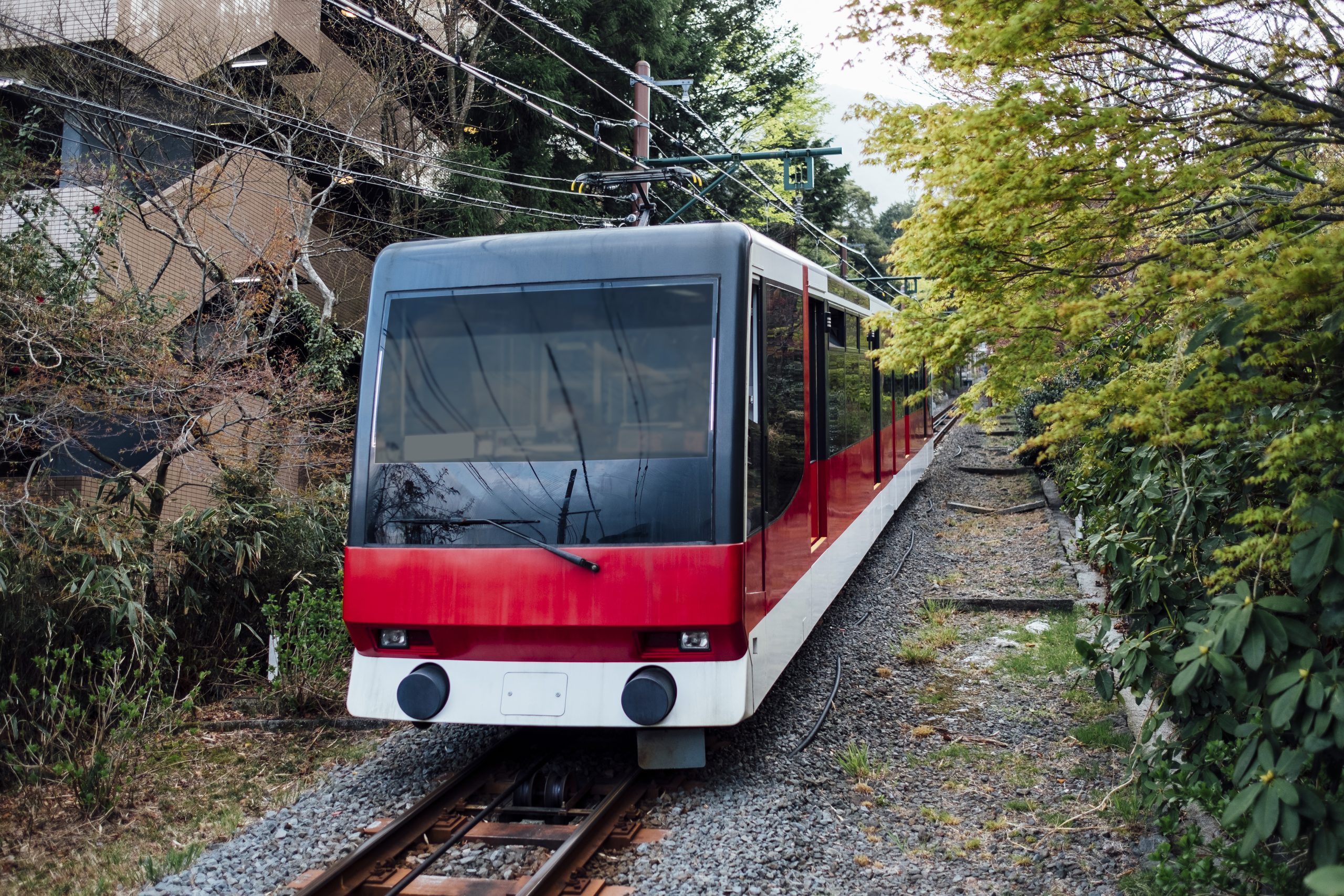 tren local en japon