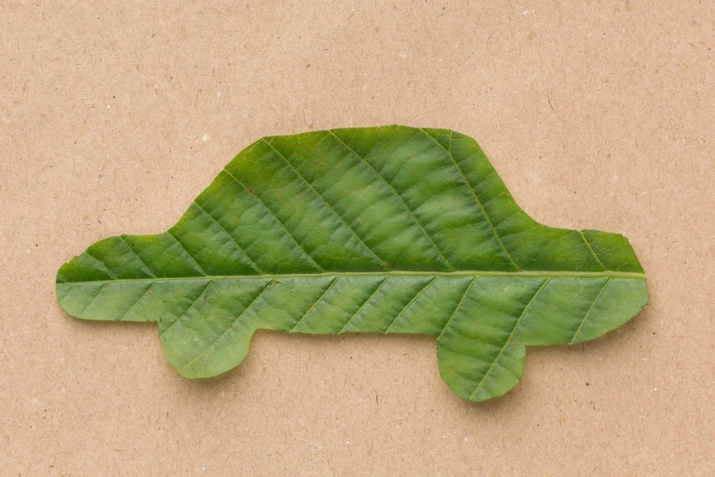 car leaf shape