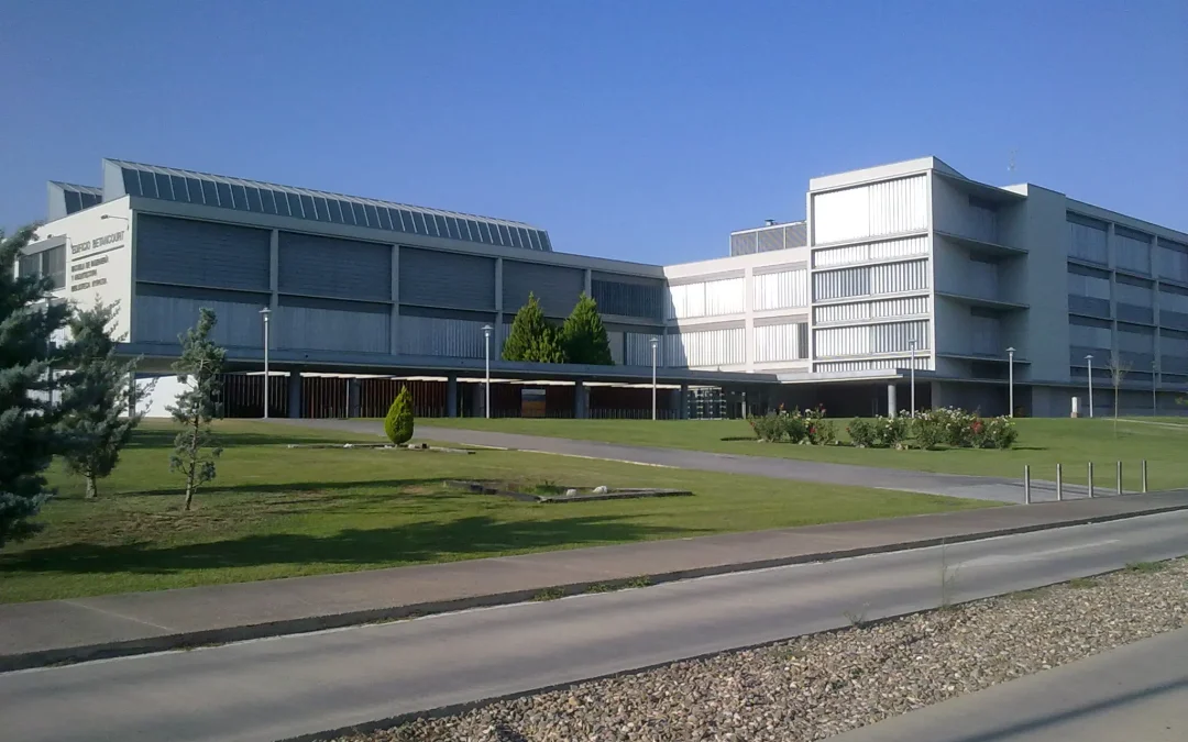 Cómo llegar al Campus Río Ebro desde Delicias o el centro de Zaragoza