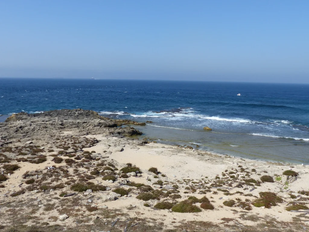 Playa Isla de las Palomas Playa Isla de las Palomas