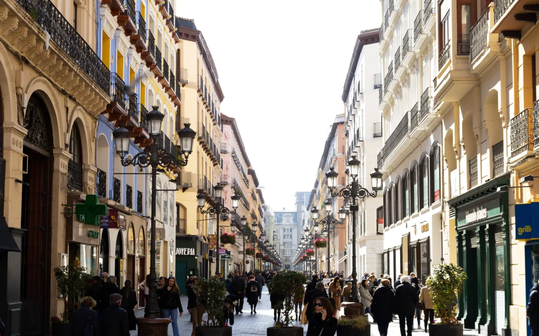 Rutas cómodas entre el centro, la universidad, hospitales, PLAZA y zonas comerciales de Zaragoza