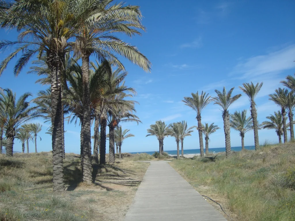 Playa del Pinar en Castellón
