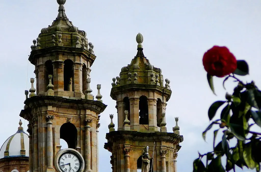 Rutas cómodas entre el casco histórico, la estación, los hoteles y las zonas de la ría